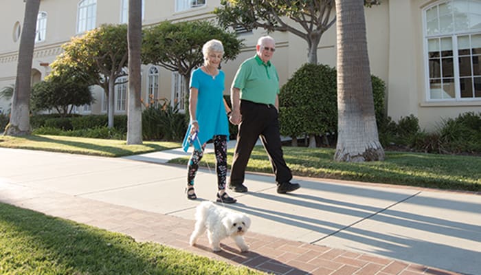 Portrait of couple walking their dog on a sunny day at Carlsbad by the Sea