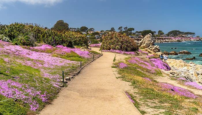 Canterbury Woods is conveniently located nearby Pacific Grove