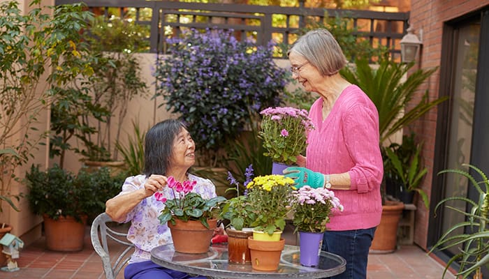 Portrait of two women smiling while tending plants at Webster House