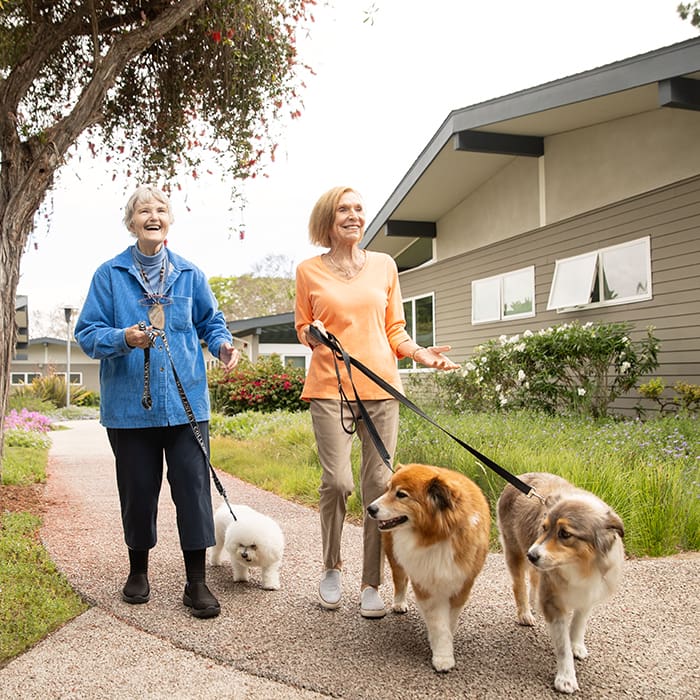 Two women walking their dogs at Wesley Palms