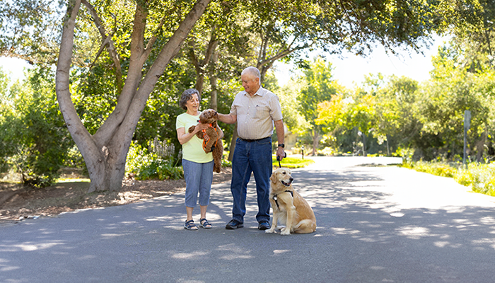 Residents walking their dogs in Spring Lake Village